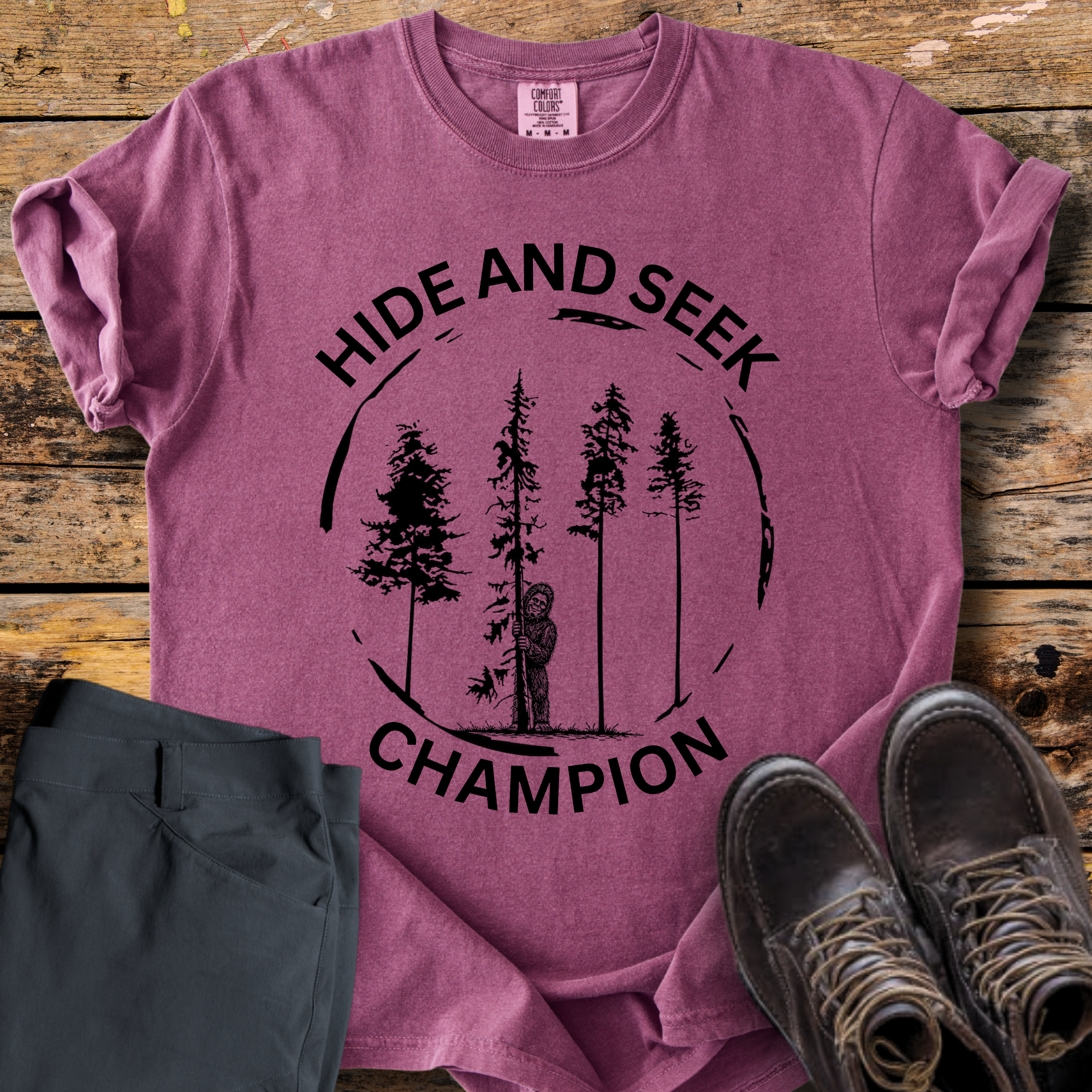 Hide And Seek Champion T-Shirt