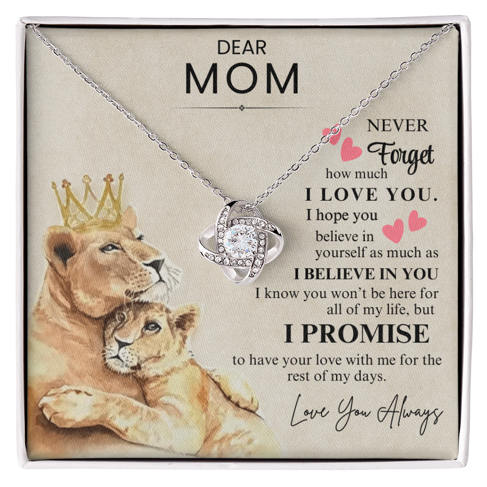 Dear Mom - Never Forget- SS701
