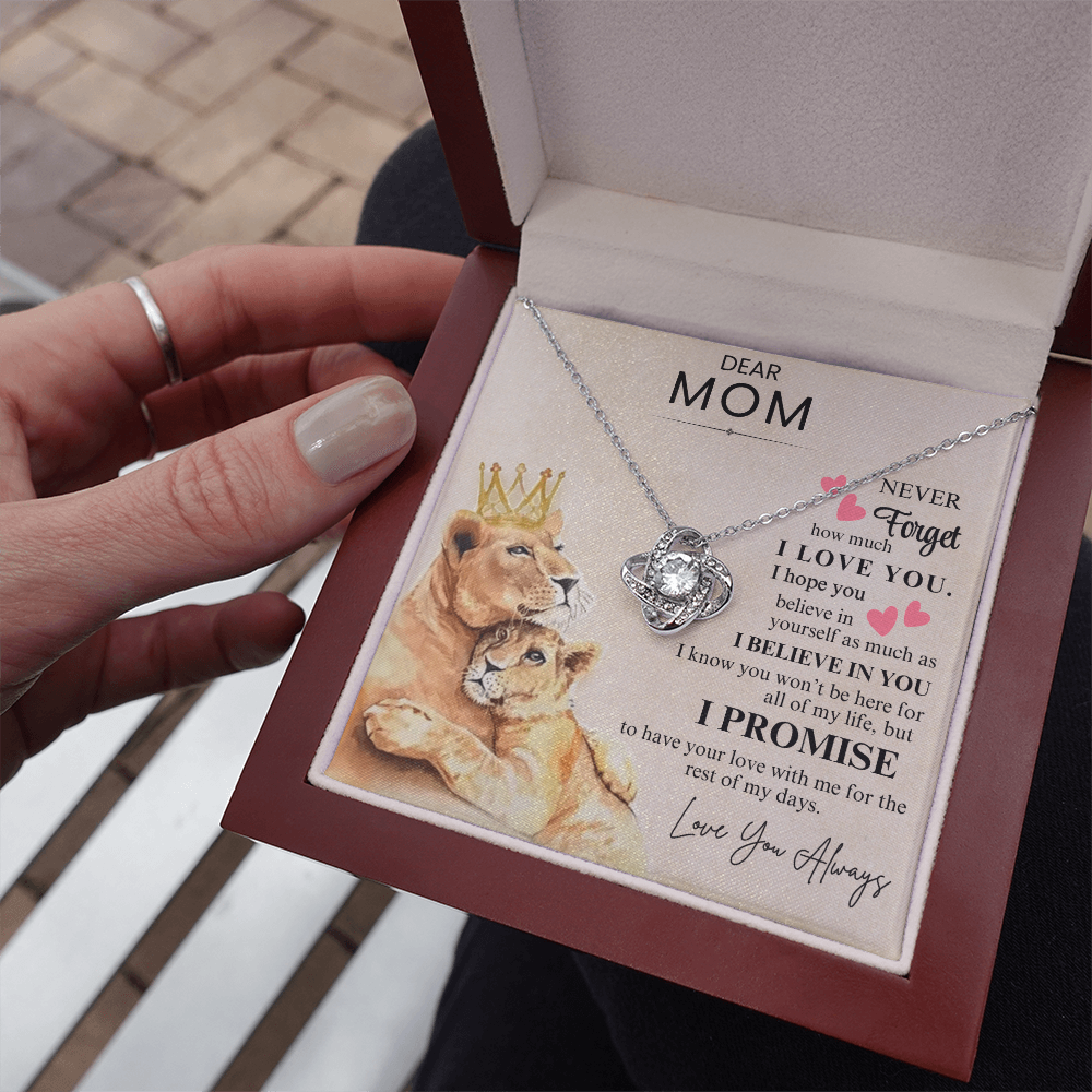 Dear Mom - Never Forget- SS701