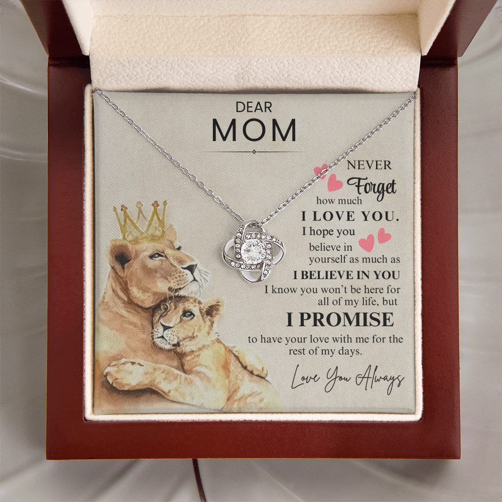 Dear Mom - Never Forget- SS701
